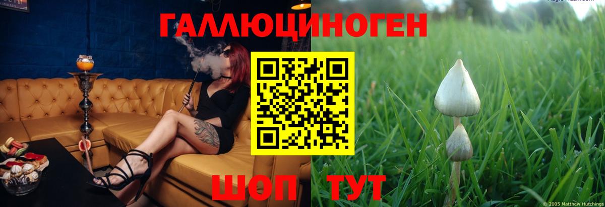 Александров  магазин    Вход с VPN  Галлюциногенные грибы GOLDEN TEACHER 