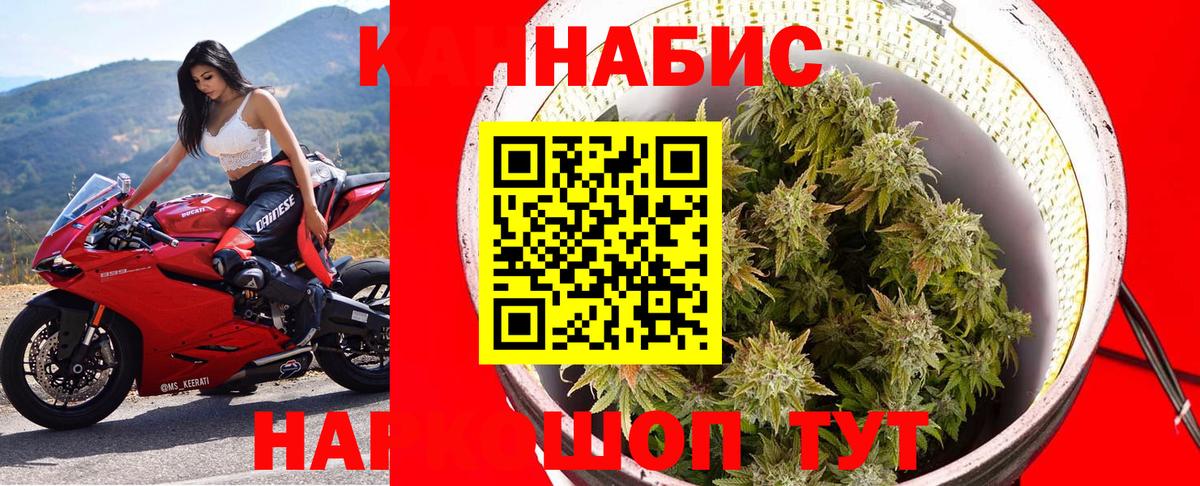 Марихуана гибрид Александров